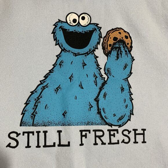 Sesame Street Hoodie Sweatshirt STILL FRESH Blue Color Size L - Picture 2 of 11